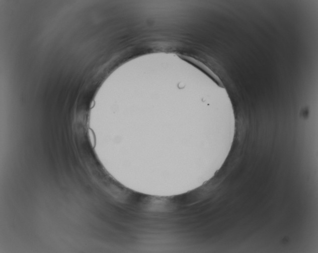 X0000115770093200912241759
