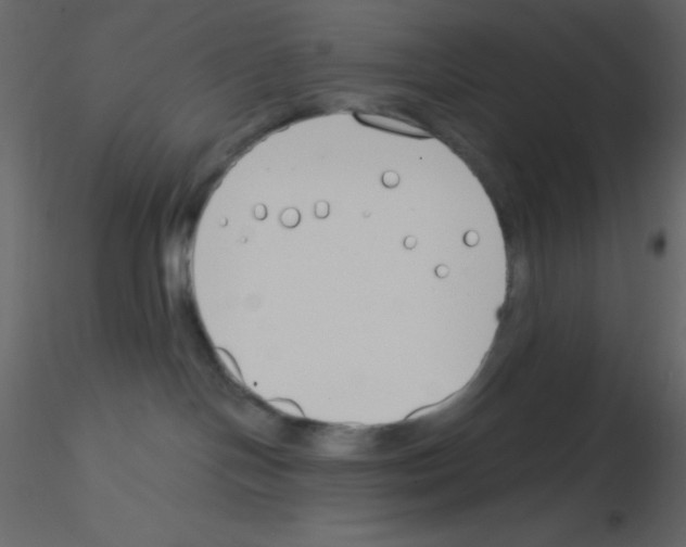 X0000115770094200912241759