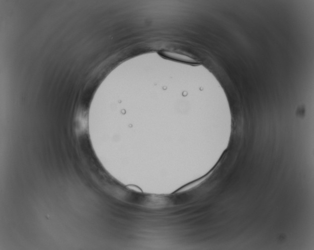 X0000115770095200912241759