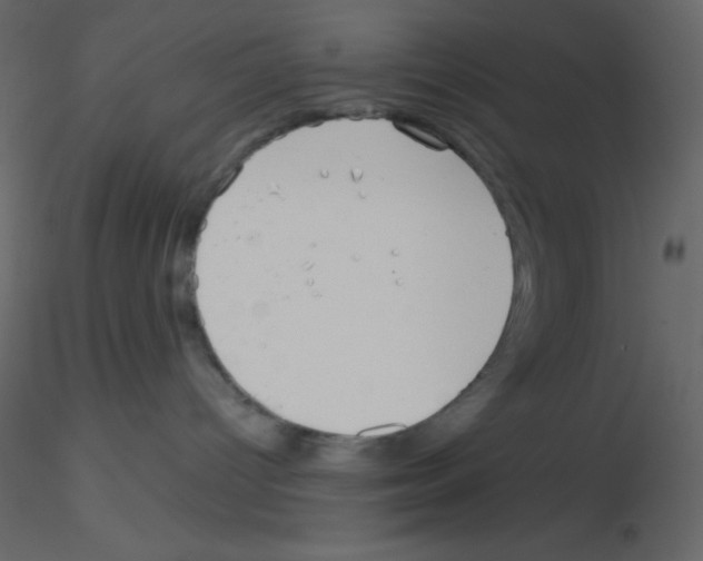 X0000115770096200912241759