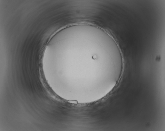 X0000115770097200912241758