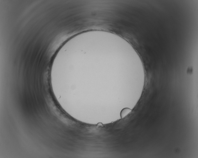 X0000115770098200912241758