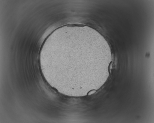 X0000115770099200912241758