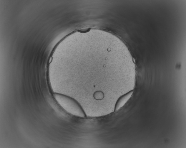 X0000115770100200912241758