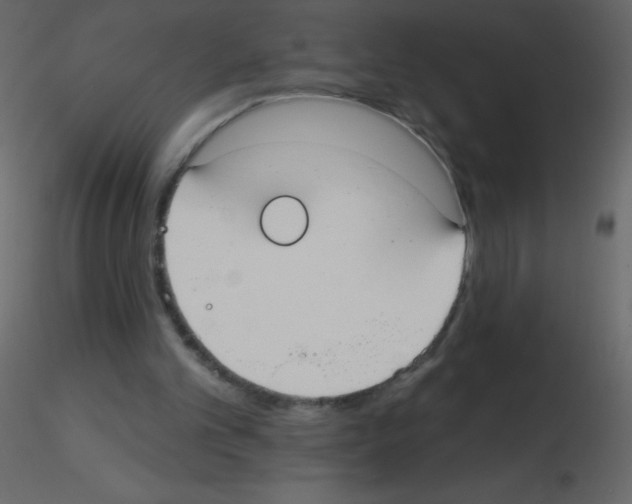 X0000115770101200912241758