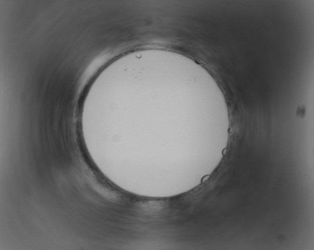 X0000115770102200912241758