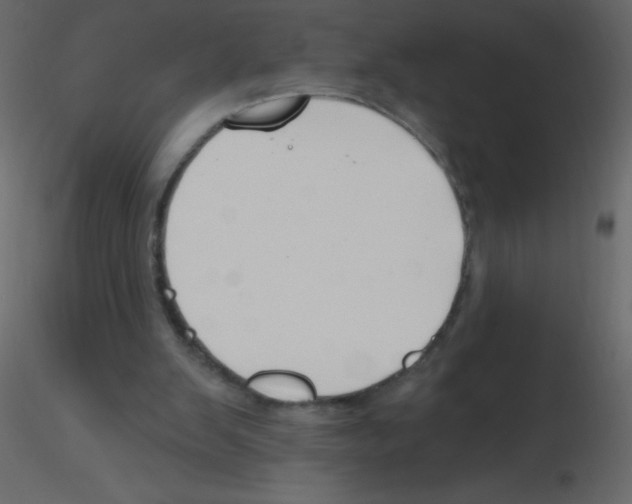 X0000115770103200912241758
