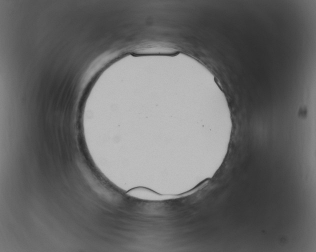 X0000115770104200912241758
