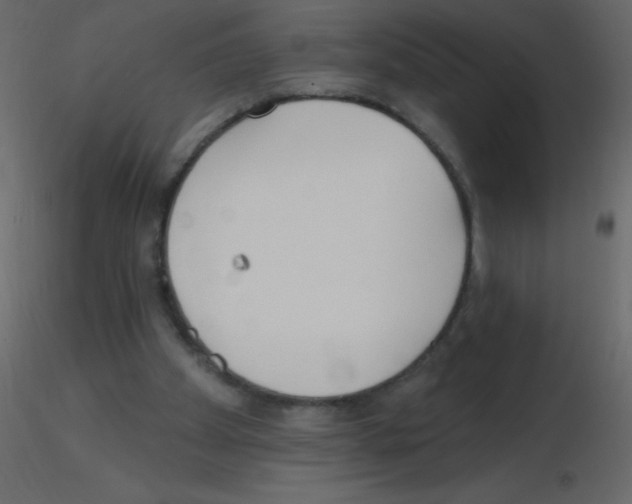 X0000115770105200912241758