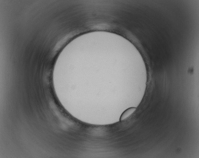X0000115770106200912241758