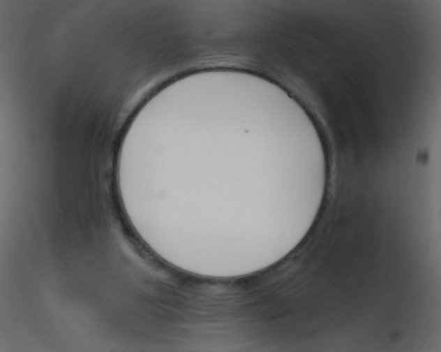 X0000115770107200912241758