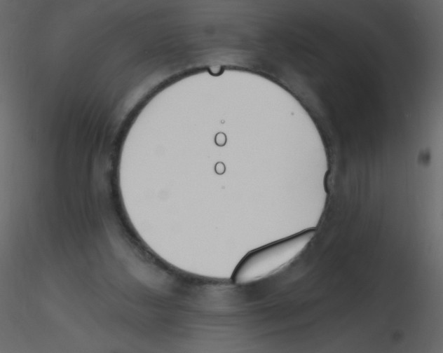 X0000115770108200912241758