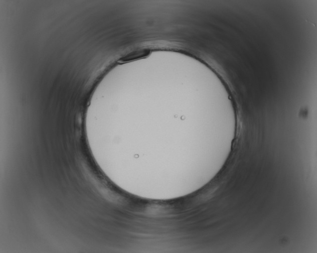 X0000115770109200912241758