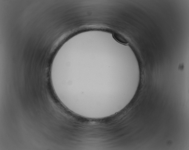 X0000115770111200912241758