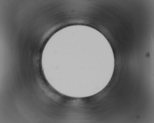 X0000115770112200912241758