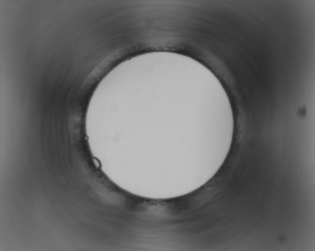 X0000115770113200912241758