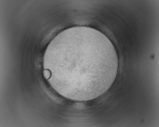 X0000115770114200912241758