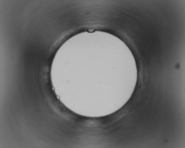 X0000115770115200912241758