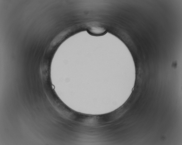 X0000115770116200912241758
