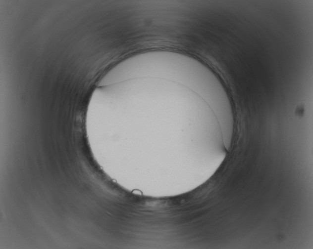 X0000115770117200912241758