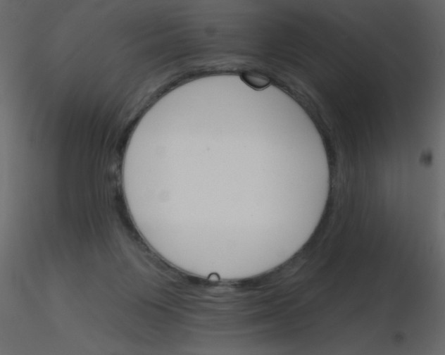 X0000115770119200912241758