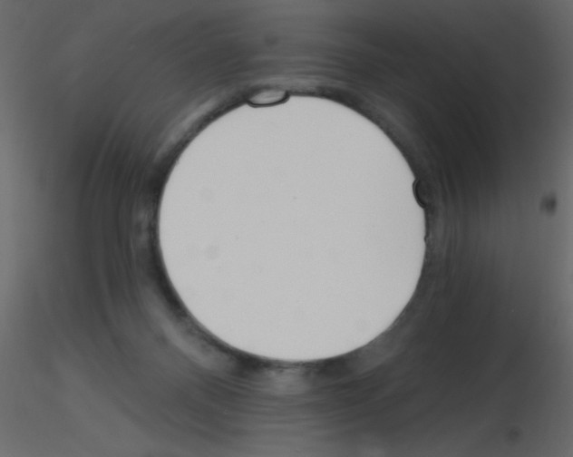 X0000115770120200912241758