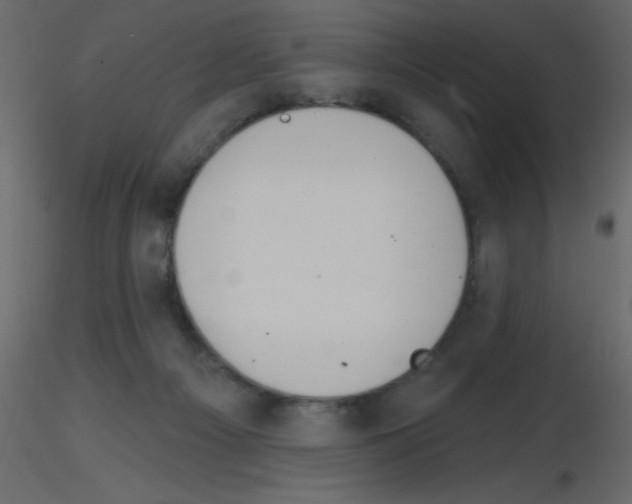 X0000115770121200912241758