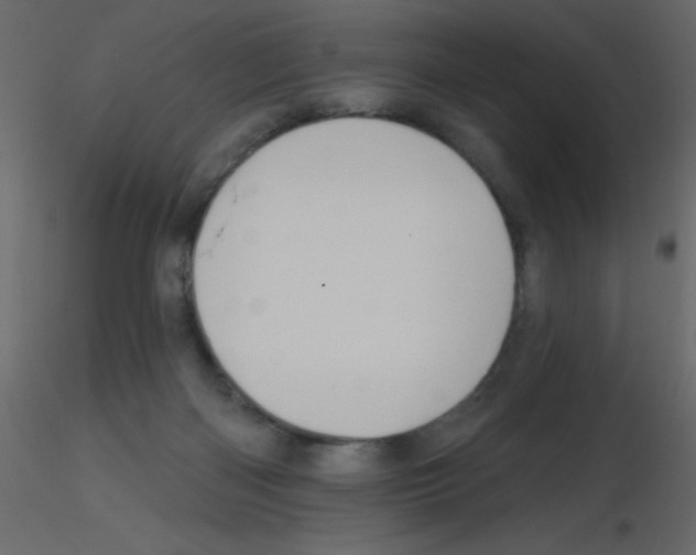 X0000115770122200912241758