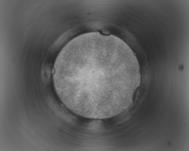X0000115770124200912241758
