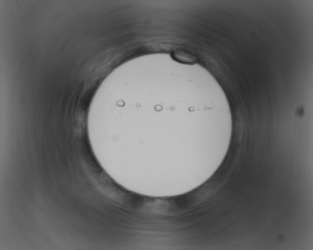 X0000115770125200912241758