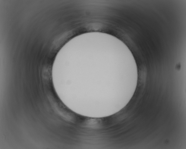 X0000115770126200912241758