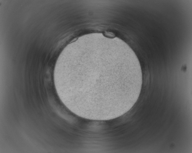X0000115770128200912241758