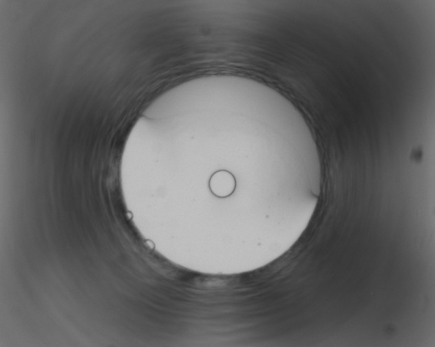 X0000115770129200912241758