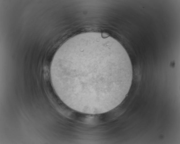 X0000115770130200912241758