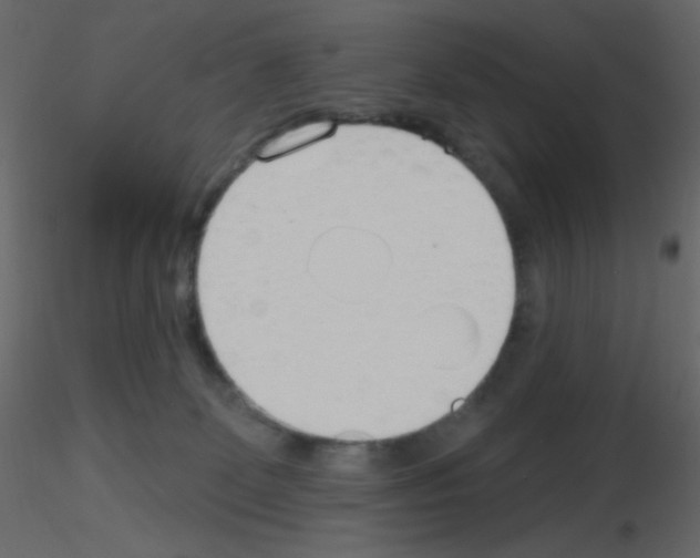 X0000115770131200912241758