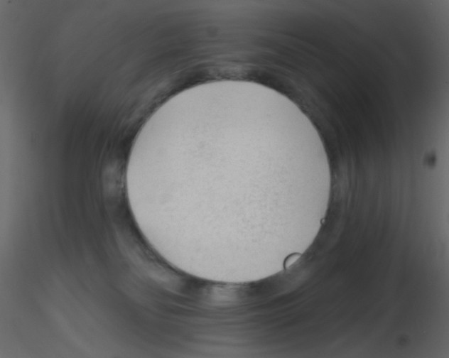 X0000115770134200912241758
