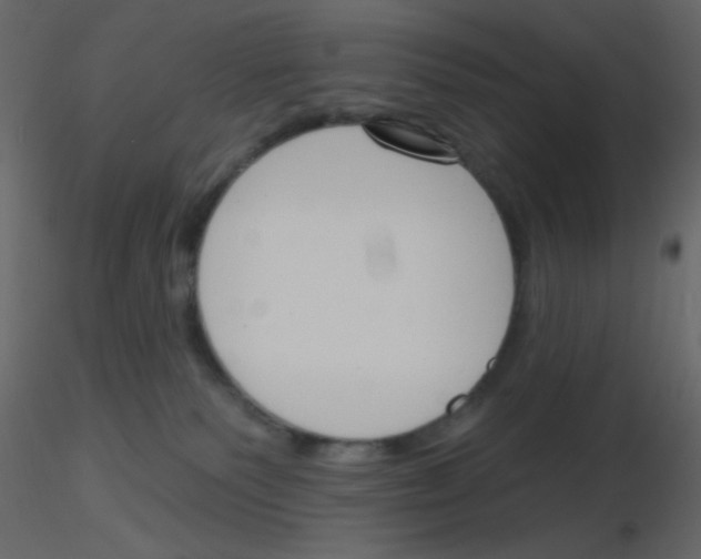 X0000115770135200912241758