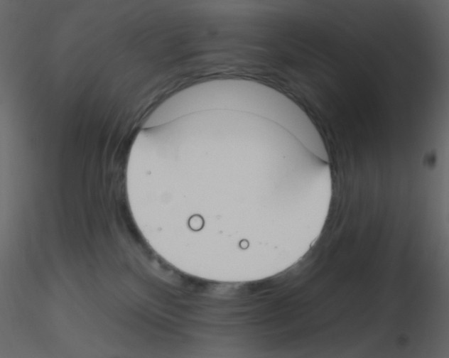 X0000115770136200912241758