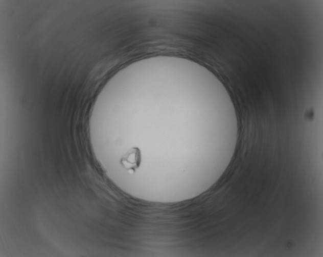 X0000115770137200912241758