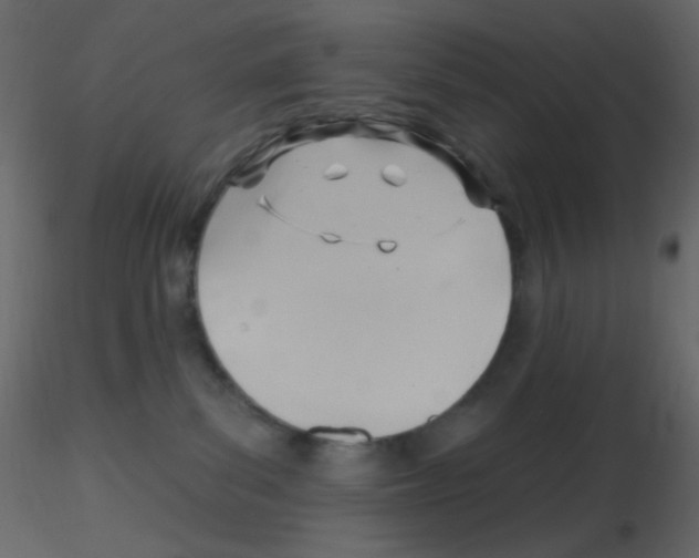 X0000115770139200912241757