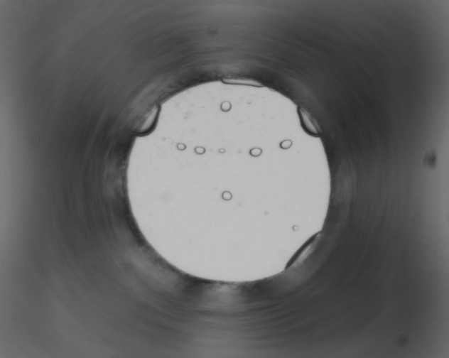 X0000115770140200912241757
