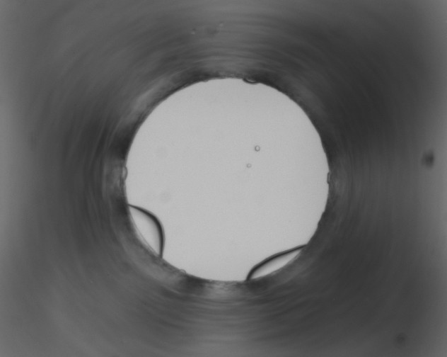 X0000115770141200912241757