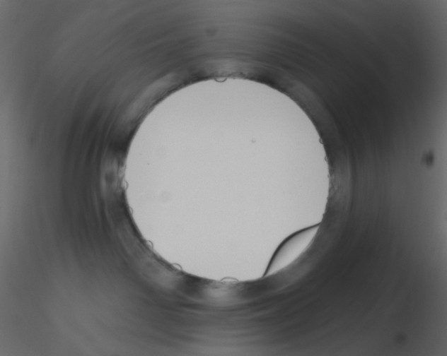X0000115770142200912241757