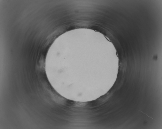 X0000115770143200912241757