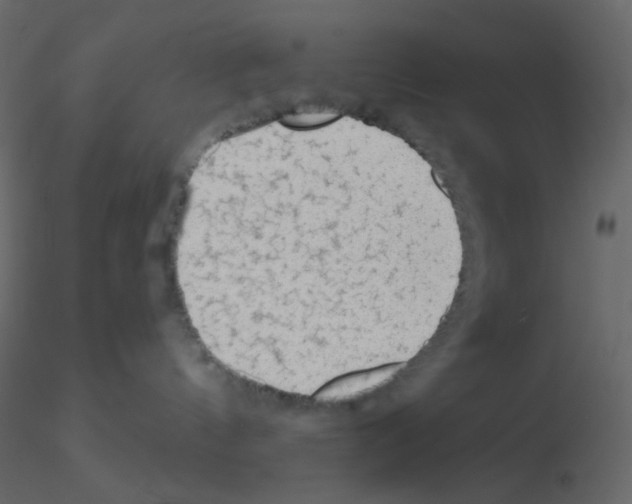 X0000115770144200912241757