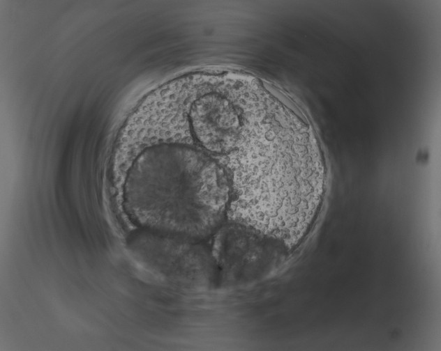 X0000115770145200912241757