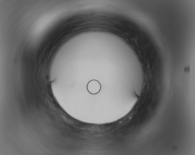 X0000115770146200912241757