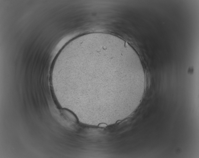X0000115770147200912241757