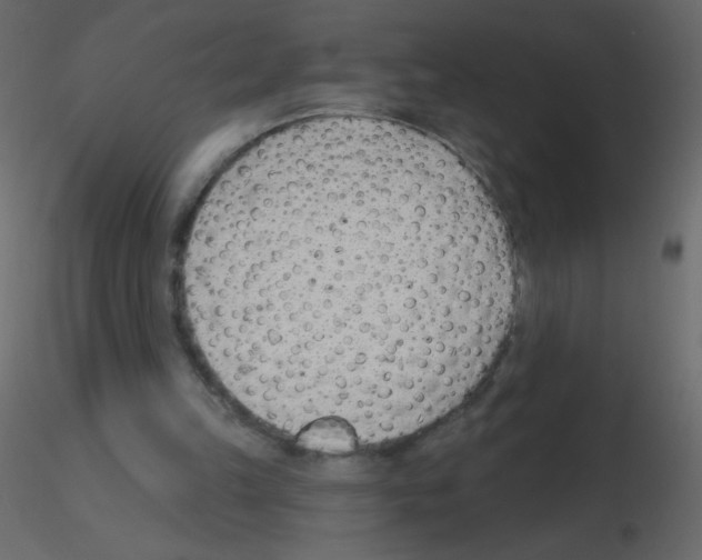 X0000115770149200912241757