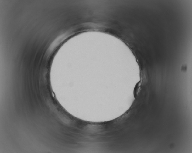 X0000115770150200912241757